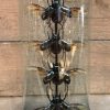Antike Glasglocke mit schönen Käfern (Chalcosoma Kaukasus)