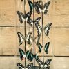 Antike ovale Kuppel mit Schmetterlingen (Papilio Ulysses Ulysses und Morpho Didius)