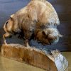 Antique hand carved bison