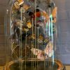 Antique oval bell jar filled with colorful butterflies