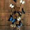 Bijzondere, zeer grote antieke stolp met 13 Morpho Didius vlinders