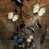 Antieke ronde stolp met druivenrank en blauw / groene mix van vlinders en kevers