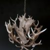 Antler lamp XXL