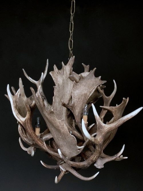 Stylish antler lamp fallow deer