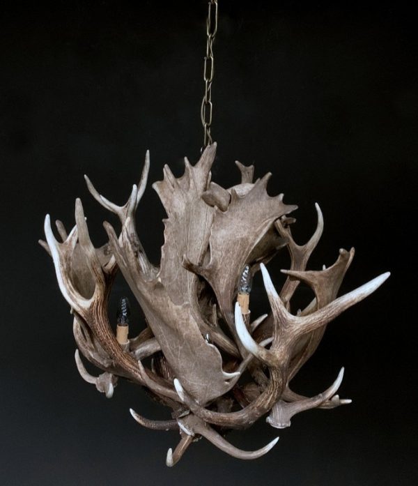 Stylish antler lamp fallow deer