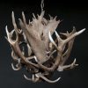 Stylish antler lamp fallow deer