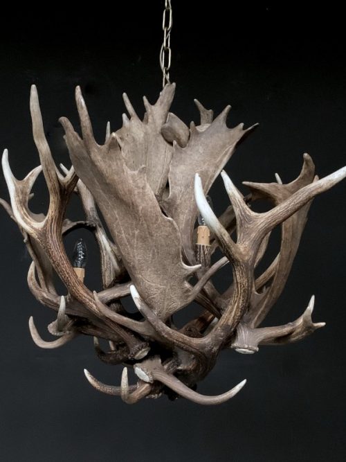 Stylish antler lamp fallow deer