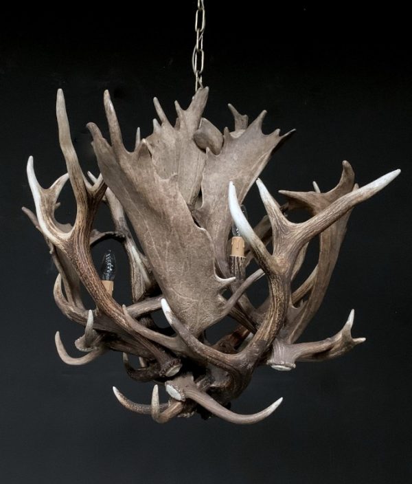 Stylish antler lamp fallow deer