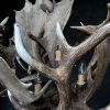 Stylish antler lamp fallow deer