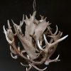 Stylish antler lamp fallow deer