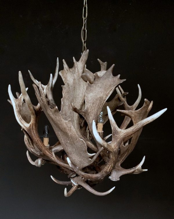 Stylish antler lamp fallow deer