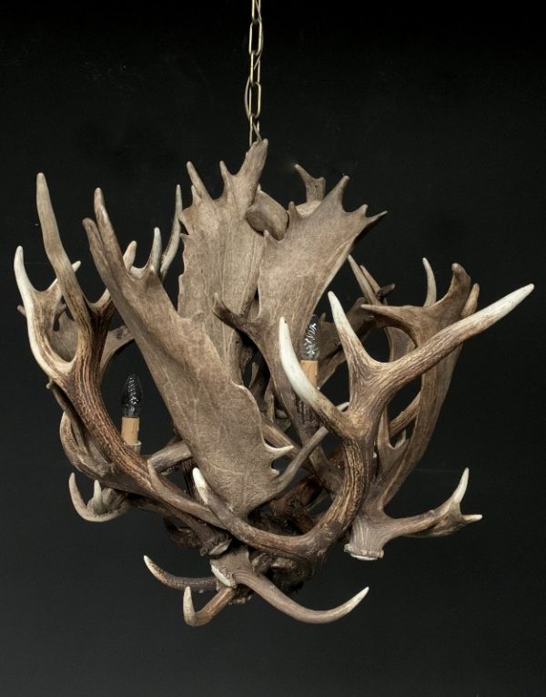 Stylish antler lamp fallow deer