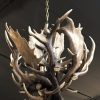 Stylish antler lamp fallow deer