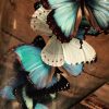 Beautiful antique bell with a mix of 10 different Morpho butterflies