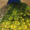Beautiful ornate peacock.