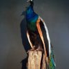 Beautiful stuffed peacock.