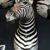 Mooi opgezette zebra kop