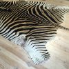 Zebra Haut, Zebra Fell, Teppich zebra haut, Zebra Haut teppich