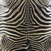 Beautiful zebra skin