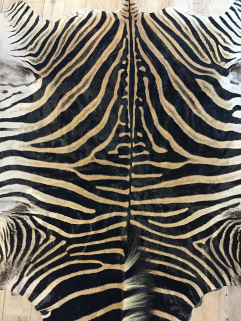 Zebra Haut, Zebra Fell, Teppich zebra haut, Zebra Haut teppich