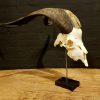 Ram skull on pedestal