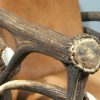 Chair made from deer antlers