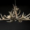 Round chandelier antlers