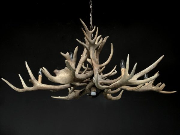 Chandelier made of heavy red deer antlers