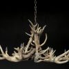 Chandelier made of heavy red deer antlers