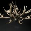 Chandelier made of heavy red deer antlers