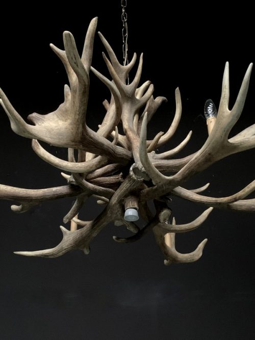 Chandelier made of heavy red deer antlers