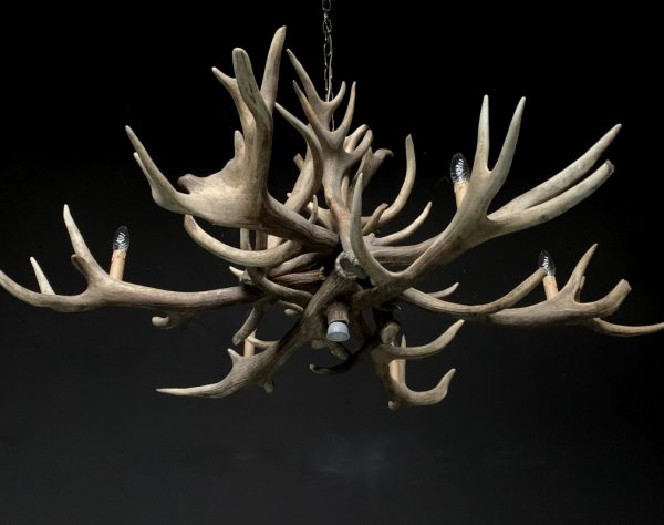 Chandelier made of heavy red deer antlers