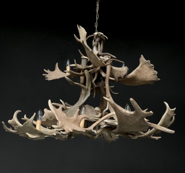 Chandelier of fallow deer antlers