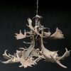 Chandelier made of heavy red deer antlers