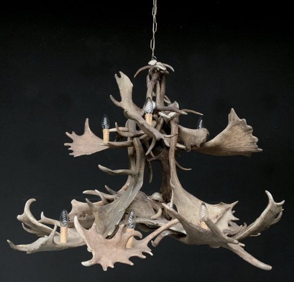 Chandelier of fallow deer antlers