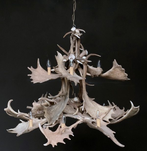 Chandelier of fallow deer antlers