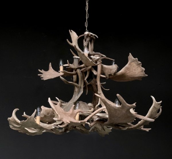 Chandelier of fallow deer antlers