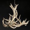 Chandelier red deer antlers, 6 lights