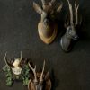 Einzigartiges Set von 3 antikem Reh Kopfen aus Holz und Gips.