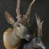 Unique set of 3 antique wooden and plaster deer heads.