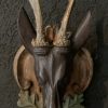 Unique set of 3 antique wooden and plaster deer heads.