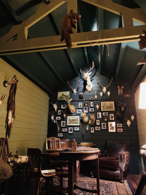 Decoration of a customer's hunting room.