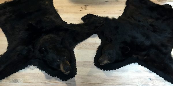 Exclusive beautiful black bear rugs with stuffed head