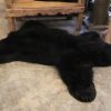 Exclusive beautiful black bear rugs with stuffed head