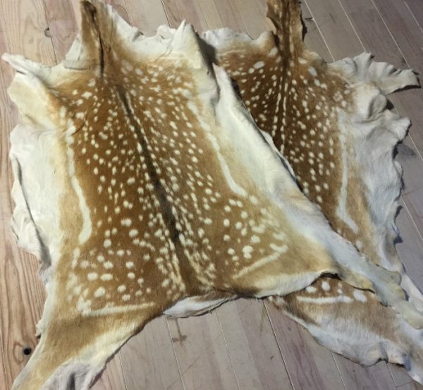 Fallow deer hides