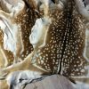 Fallow deer hides