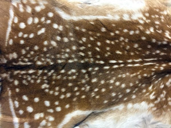 Fallow deer hides