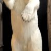 Stuffed polar bear