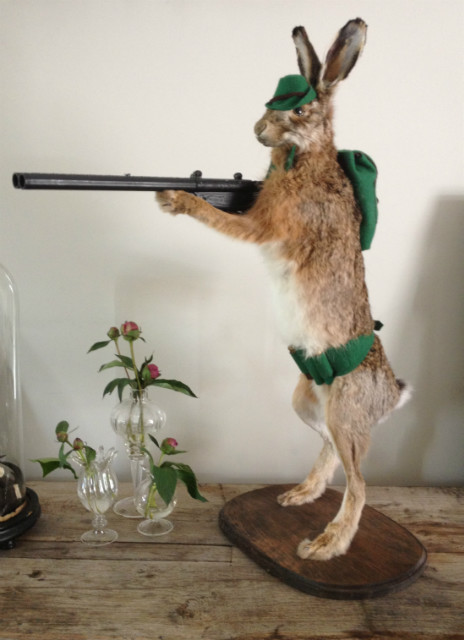 Mounted hare with gun. Hunting hare