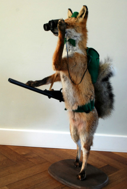 FM 220, Unique stuffed hunting fox.